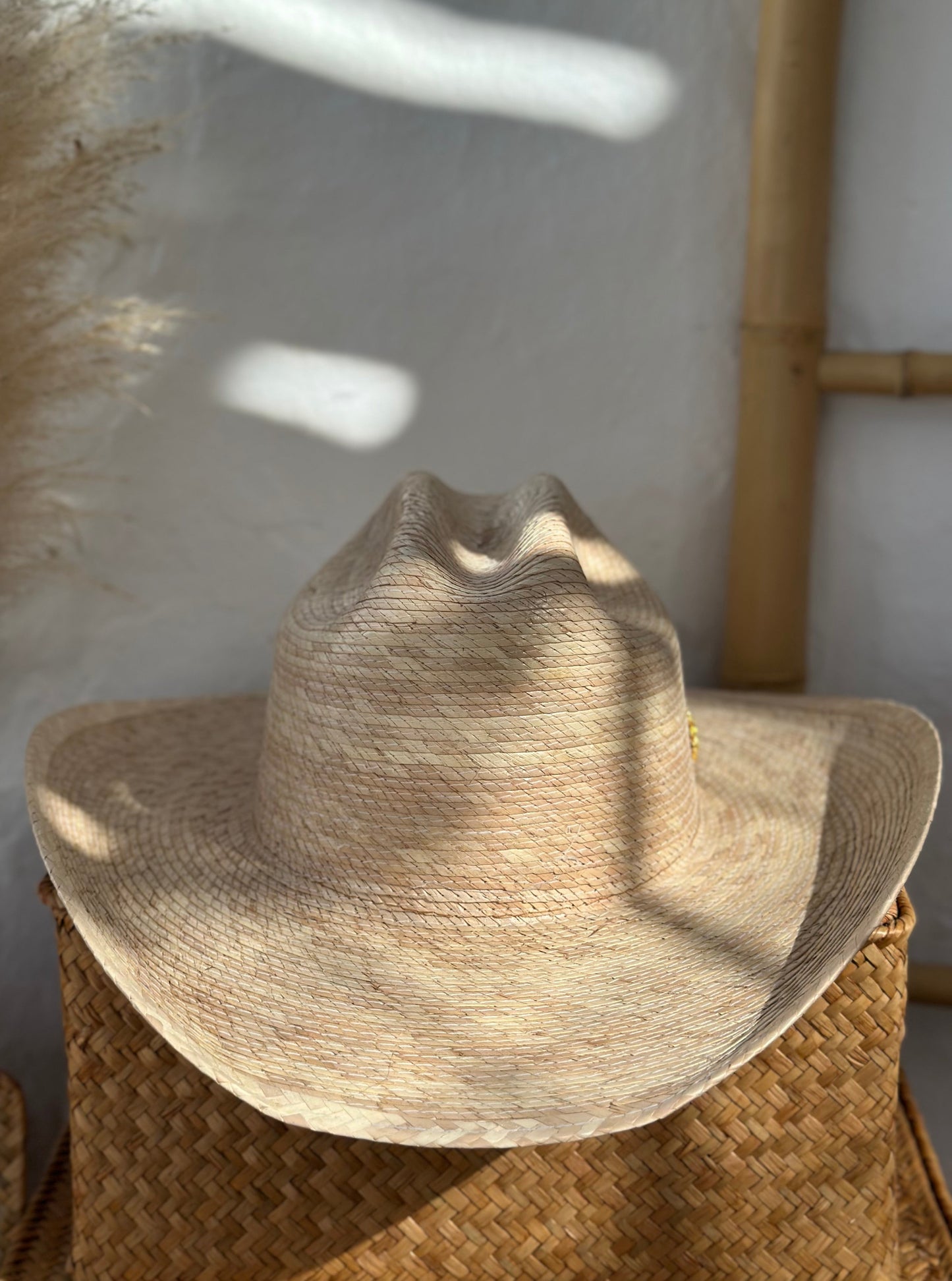 Cowboy -Palma