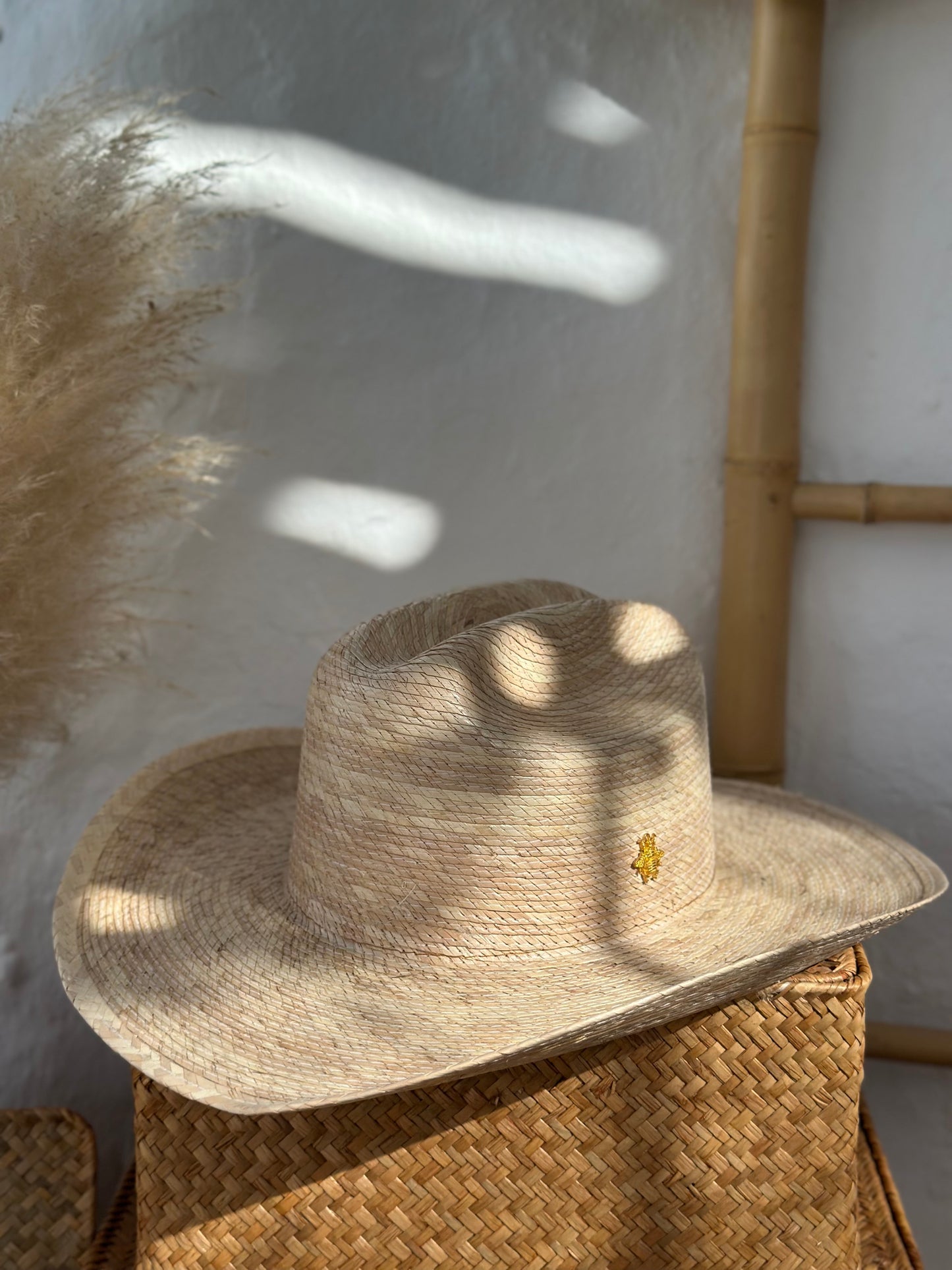 Cowboy -Palma